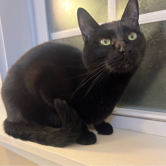 Meet your Posher, Tayler - Picture 5 of 8